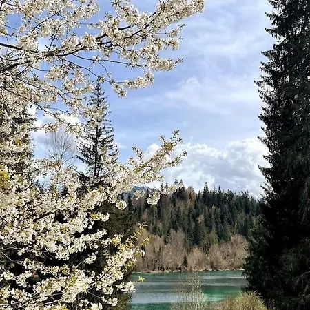 Apartment Mit Fantastischer Aussicht